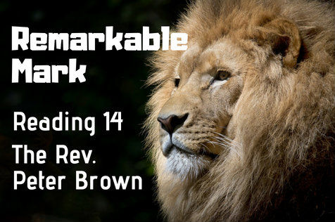 Remarkable Mark--web-post-14