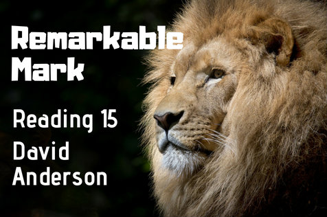 Remarkable Mark--web-post-15