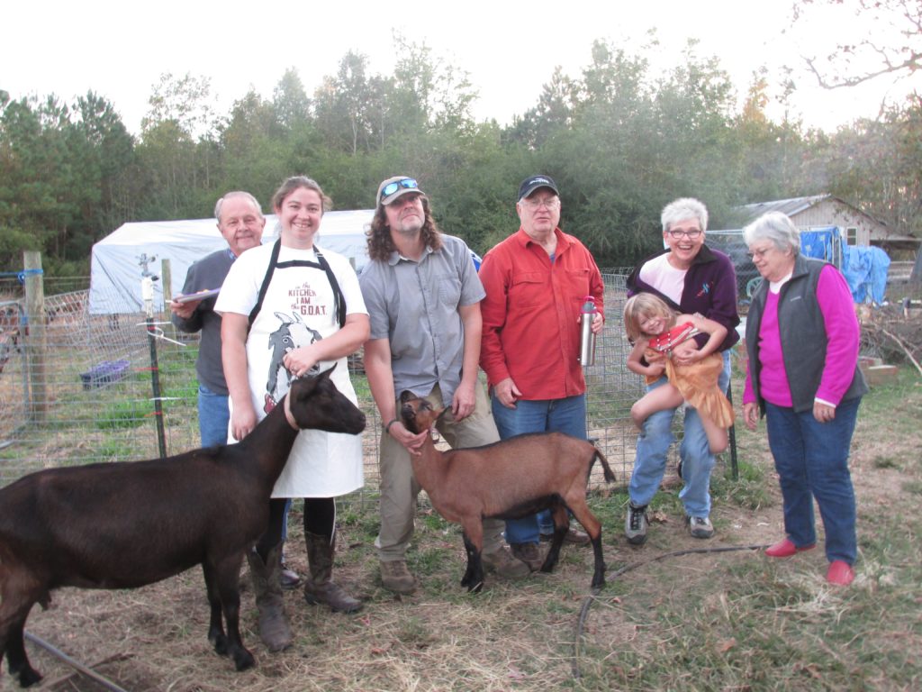 goats