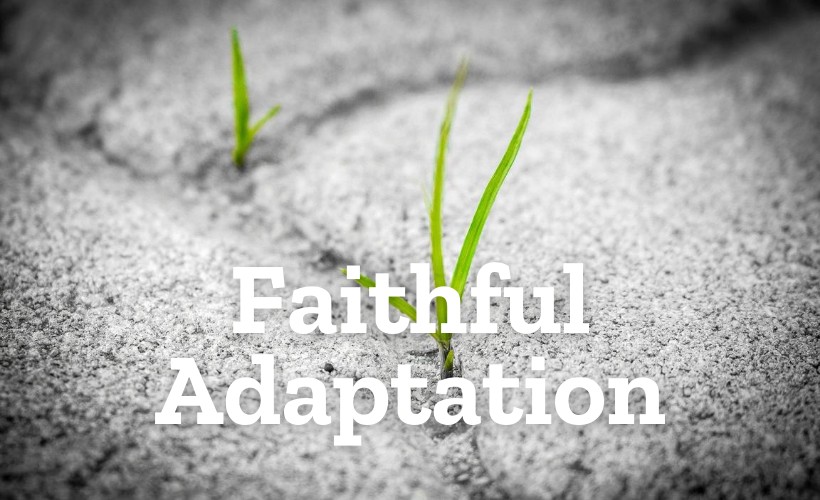 2020-Sept-reflection-Faithful-Adaptation