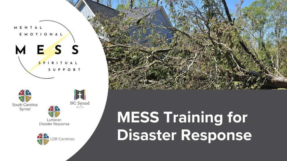 MESS Training LDRC_event