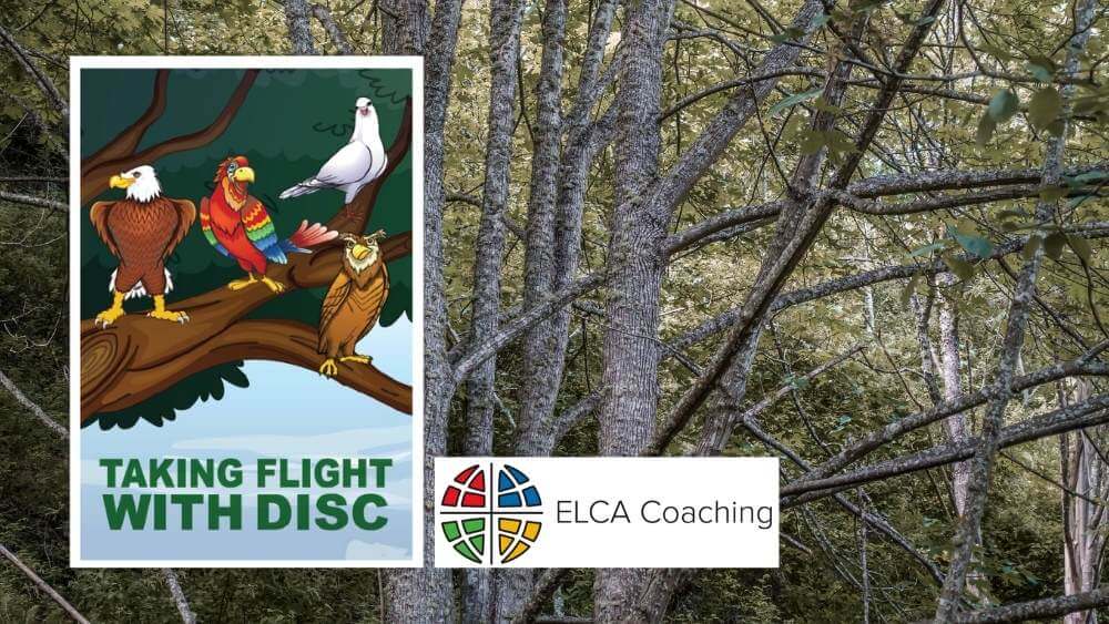ELCA-Coaching-Taking-Flight_enews