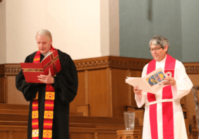 Alfredo installation